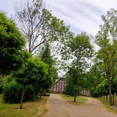Chalet Forsthof Everstorf - Kleine Wohnung Grevesmuhlen Bagian luar foto